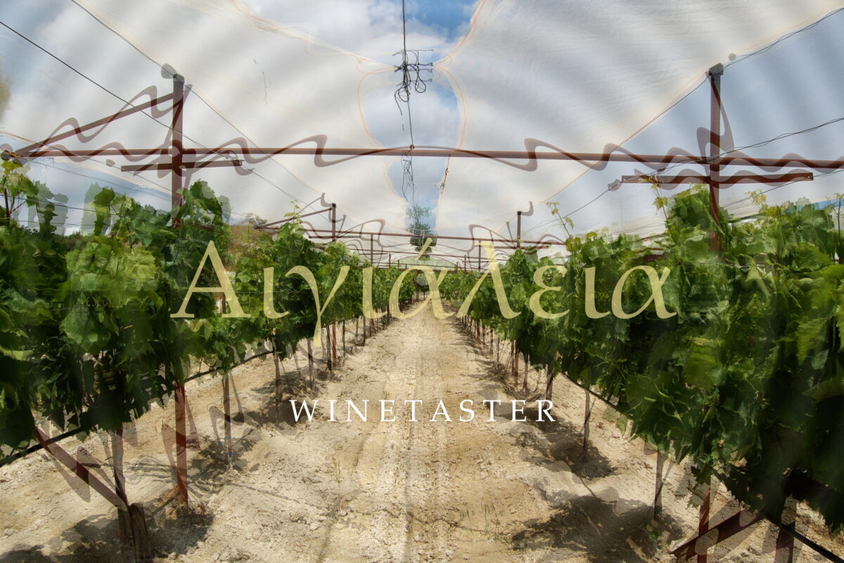 ΤΟ ΦΑΙΝΟΜΕΝΟ ΤΗΣ ΑΙΓΙΑΛΕΙΑΣ