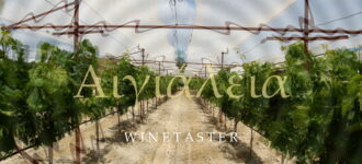 ΤΟ ΦΑΙΝΟΜΕΝΟ ΤΗΣ ΑΙΓΙΑΛΕΙΑΣ