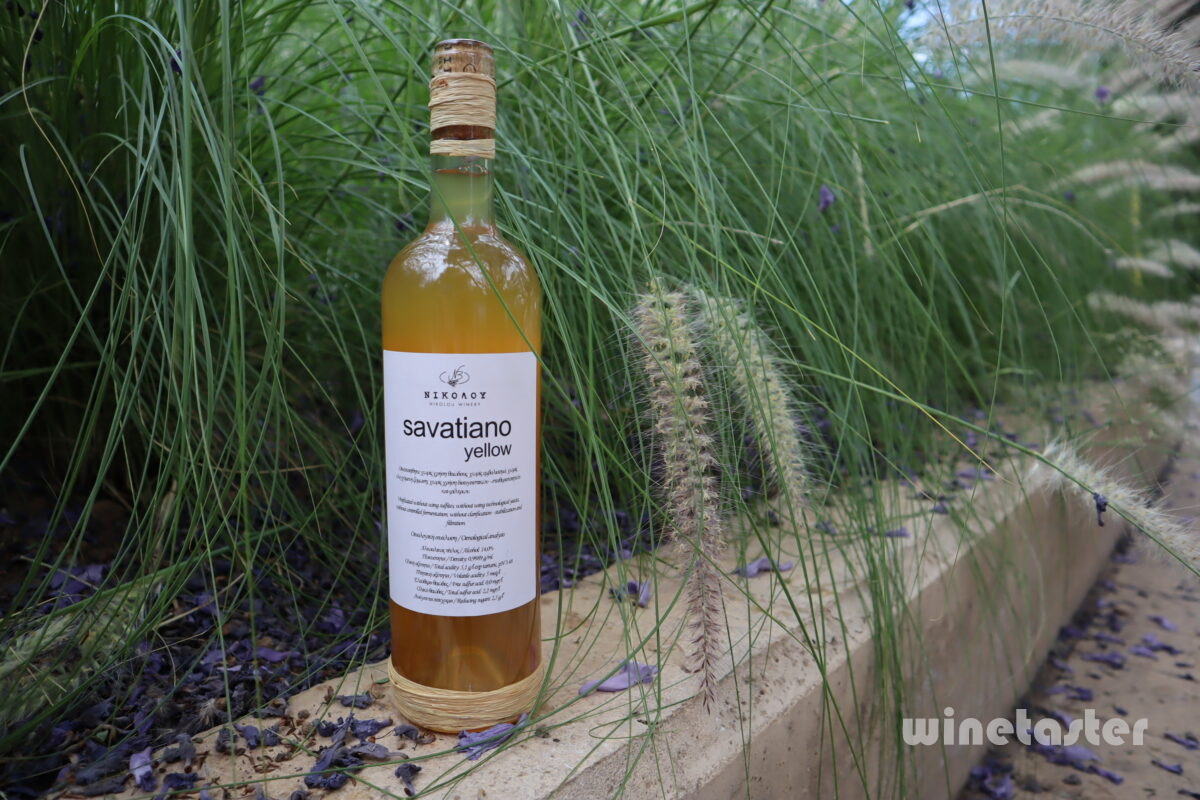 ΝΙΚΟΛΟΥ SAVATIANO YELLOW 2021